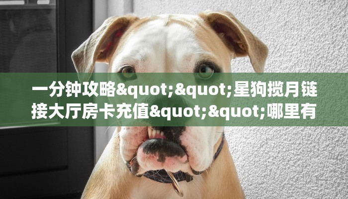 实测教程分享""炫龙大厅房卡怎么弄/皇豪互娱大厅房卡”详细房卡