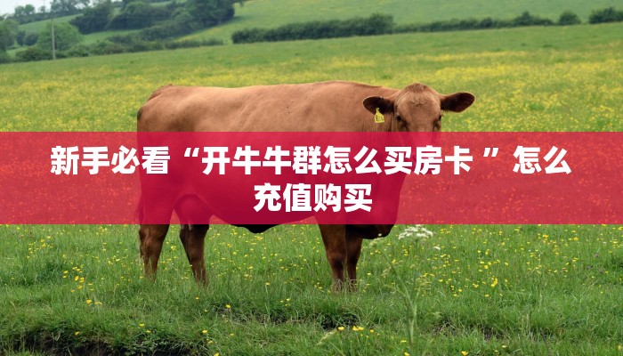 一分钟攻略""新超圣大厅在哪里买房卡""充值方式"分享房卡给大家