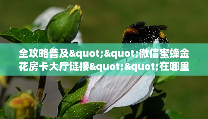 必备“玄龙二厅金花房卡微信购买方法链接谁有”大厅链接自建房