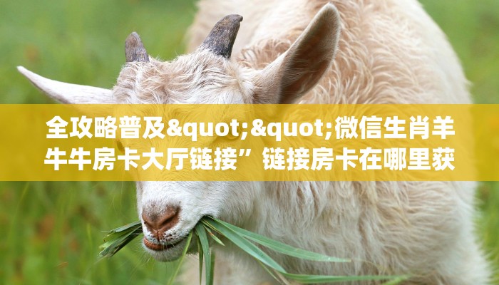 三秒盘点""狂飙大厅正版微信金花房卡""在哪里购买大厅房卡"分享