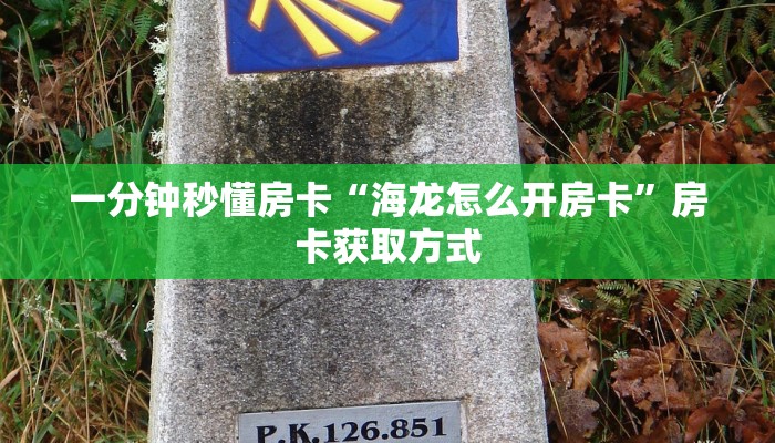 居家必备“华山大厅微信平台金花购买方法房卡”大厅自建房模式