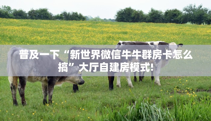 一分钟了解""新玄龙大厅房卡/新二号大厅房卡""低价获取"!’