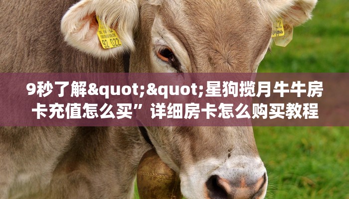 一分钟攻略“战神大厅房间房卡怎么充值”详细怎么获取房卡 