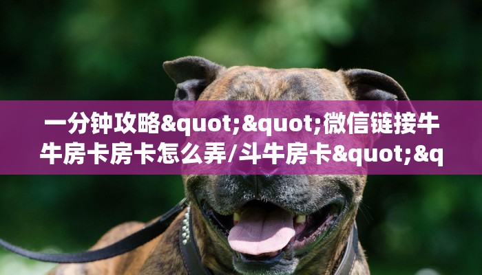一分钟攻略""微信链接牛牛房卡房卡怎么弄/斗牛房卡""购买渠道!房