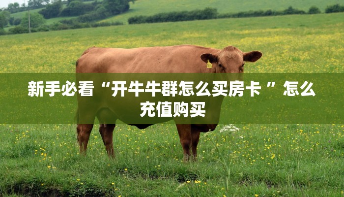 实测分享""新七喜牛牛房卡充值""如何领取房卡"详细提取教程