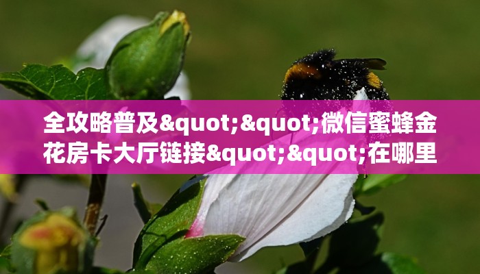 实测分享""阿拉丁牛牛房卡充值""怎么购买房卡‘获取大厅链接