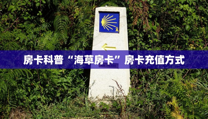 秒懂房卡“道游大厅房卡购买”房卡获取方式