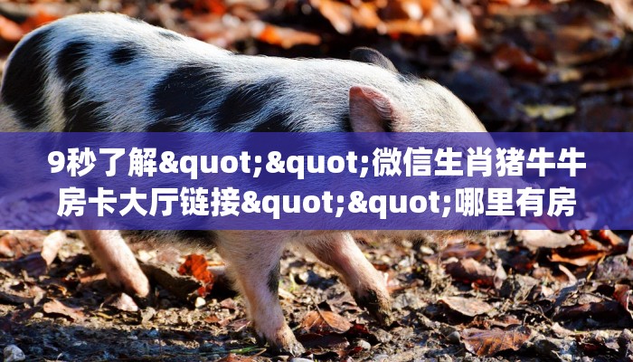 玩家必备教程""新琉璃牛牛房卡充值""在哪里可以拿到链接,充房卡