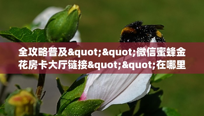 全攻略普及""微信蜜蜂金花房卡大厅链接""在哪里可以拿到链接,充房