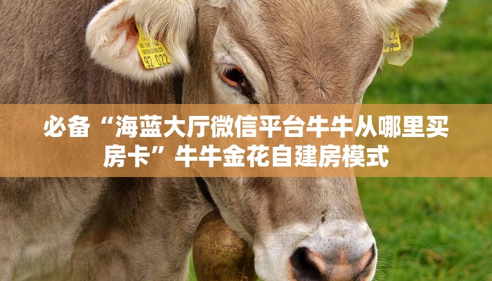 一分钟了解“皇豪互众房卡哪里买”房卡哪里购买充值