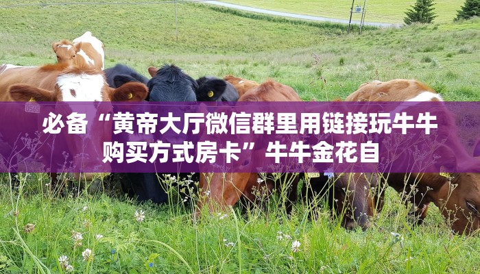 必备“黄帝大厅微信群里用链接玩牛牛购买方式房卡”牛牛金花自