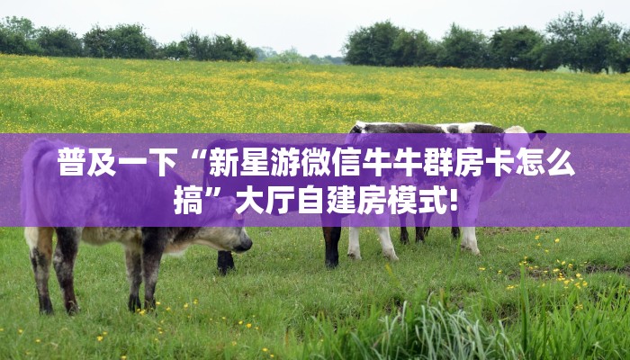 房卡教程经验“卡米大厅房卡”获取房卡经验