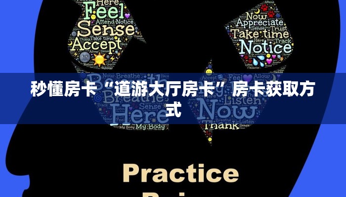 秒懂房卡“道游大厅房卡”房卡获取方式