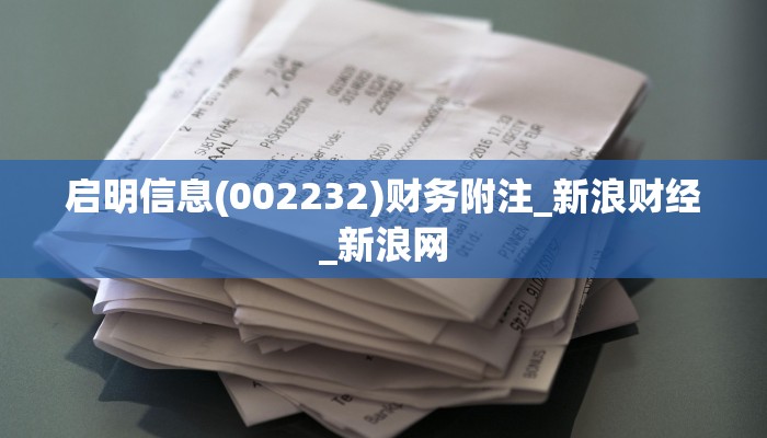 启明信息(002232)财务附注_新浪财经_新浪网