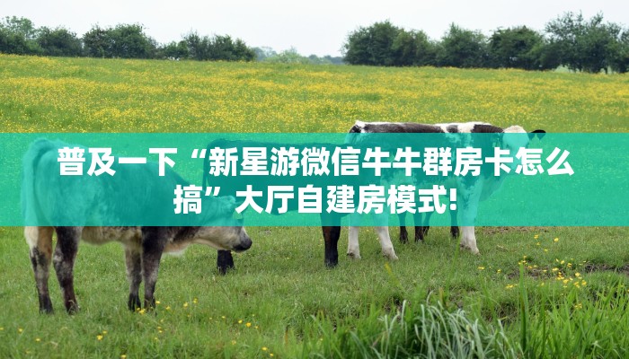 分享实测“牛牛房卡微信链接房卡批发”获取房卡教程 