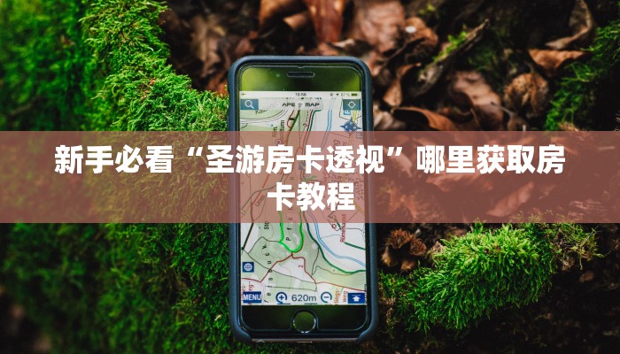 新手必看“圣游房卡透视”哪里获取房卡教程