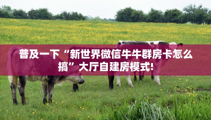 普及一下“新世界微信牛牛群房卡怎么搞”大厅自建房模式!
