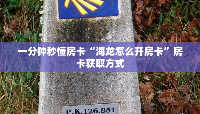 一分钟秒懂房卡“海龙怎么开房卡”房卡获取方式