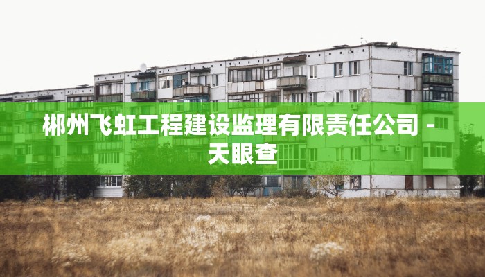 郴州飞虹工程建设监理有限责任公司 - 天眼查