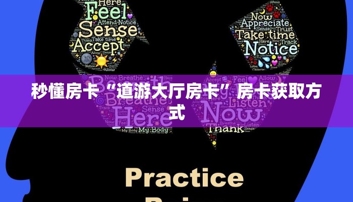 秒懂房卡“道游大厅房卡”房卡获取方式