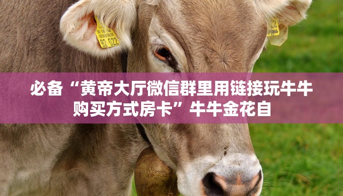 必备“黄帝大厅微信群里用链接玩牛牛购买方式房卡”牛牛金花自