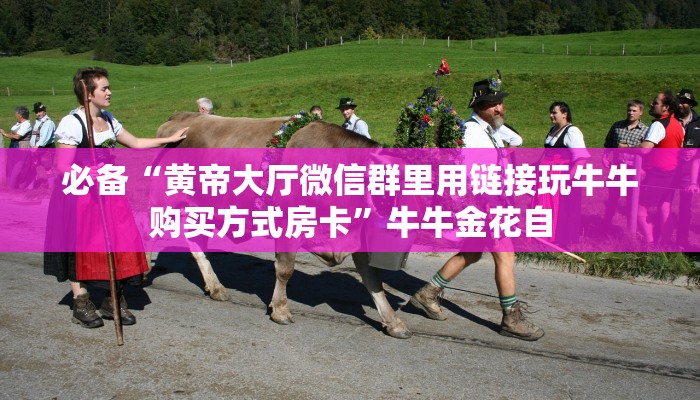 秒懂房卡“新卡贝大厅房卡”房卡获取方式