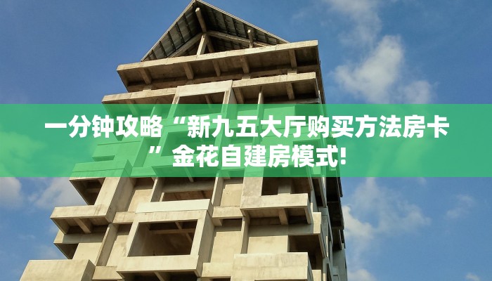 一分钟攻略“新九五大厅购买方法房卡”金花自建房模式!