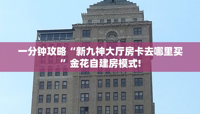 一分钟攻略“新九神大厅房卡去哪里买”金花自建房模式!