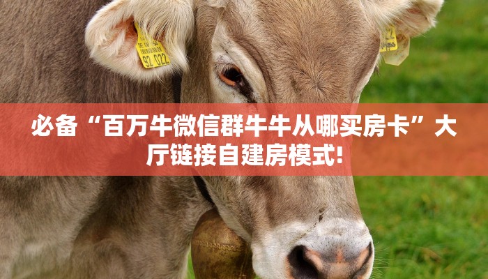 一分钟了解“微信新九五金花房卡大厅链接""购买渠道!房卡充值详细