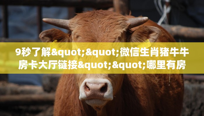 9秒了解""微信生肖猪牛牛房卡大厅链接""哪里有房卡!怎么充值