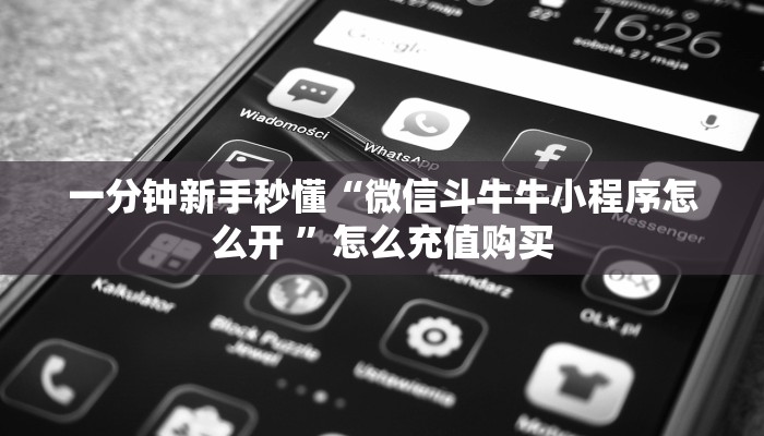 一分钟新手秒懂“微信斗牛牛小程序怎么开 ”怎么充值购买