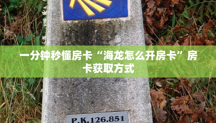 一分钟秒懂房卡“海龙怎么开房卡”房卡获取方式