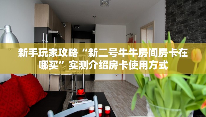 新手玩家攻略“新二号牛牛房间房卡在哪买”实测介绍房卡使用方式