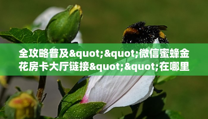 全攻略普及""微信蜜蜂金花房卡大厅链接""在哪里可以拿到链接,充房