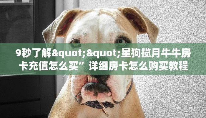 9秒了解""星狗揽月牛牛房卡充值怎么买”详细房卡怎么购买教程