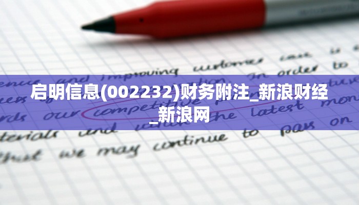启明信息(002232)财务附注_新浪财经_新浪网