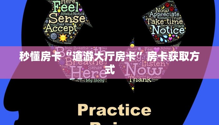 秒懂房卡“道游大厅房卡”房卡获取方式
