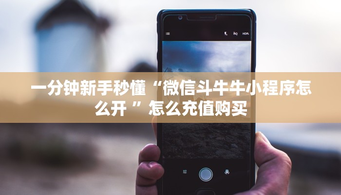 一分钟新手秒懂“微信斗牛牛小程序怎么开 ”怎么充值购买