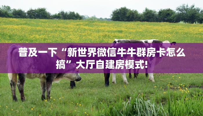普及一下“新世界微信牛牛群房卡怎么搞”大厅自建房模式!