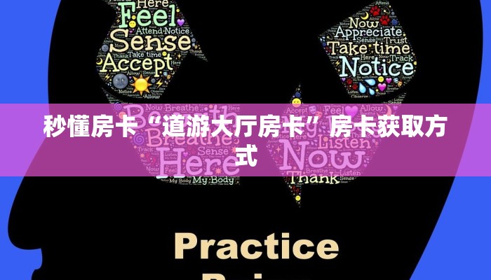 秒懂房卡“道游大厅房卡”房卡获取方式