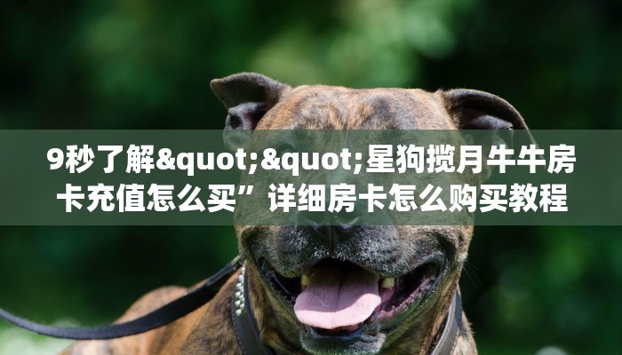 三秒盘点""超圣金花房卡充值""房卡充值教程
