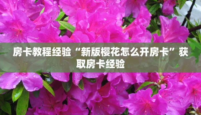 房卡教程经验“新版樱花怎么开房卡”获取房卡经验