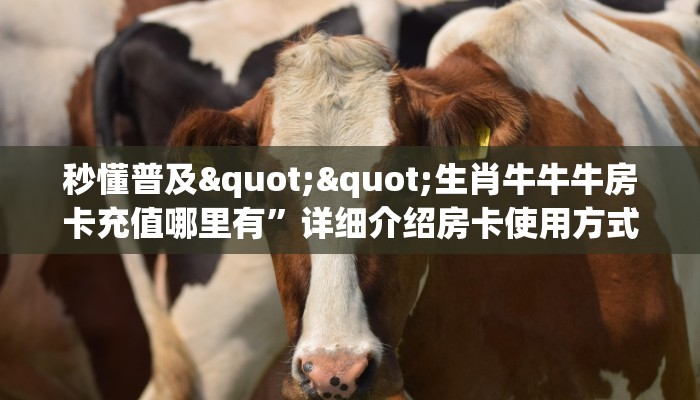 秒懂普及""生肖牛牛牛房卡充值哪里有”详细介绍房卡使用方式