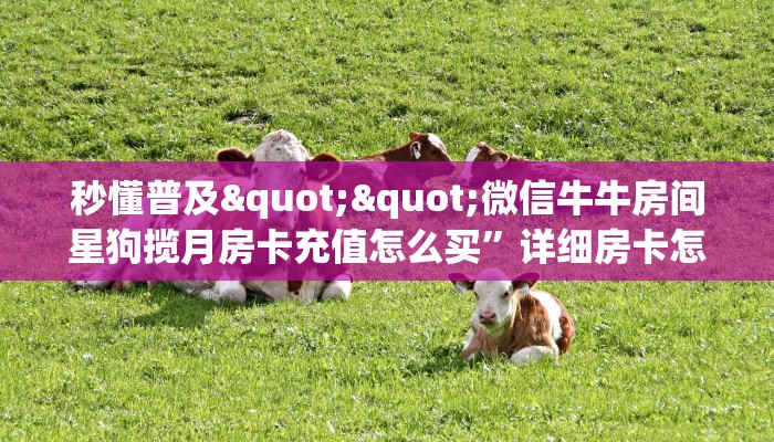 秒懂普及""微信牛牛房间星狗揽月房卡充值怎么买”详细房卡怎么
