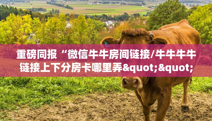 重磅同报“微信牛牛房间链接/牛牛牛牛链接上下分房卡哪里弄""购买