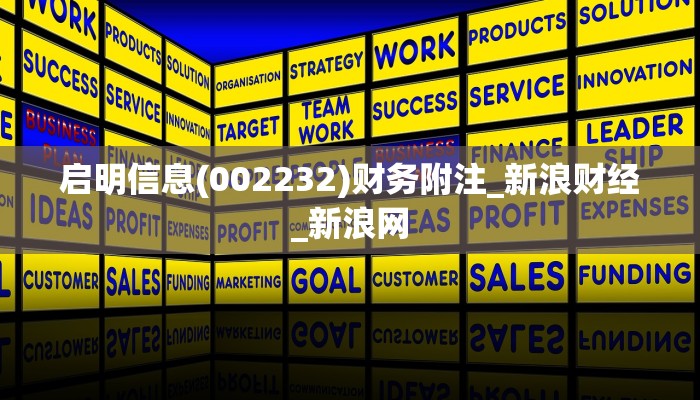 启明信息(002232)财务附注_新浪财经_新浪网