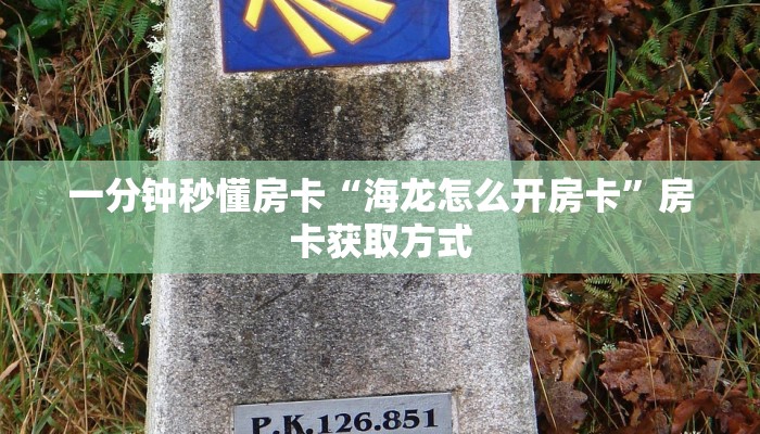一分钟秒懂房卡“海龙怎么开房卡”房卡获取方式