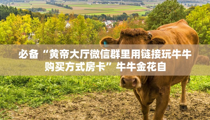 必备“黄帝大厅微信群里用链接玩牛牛购买方式房卡”牛牛金花自