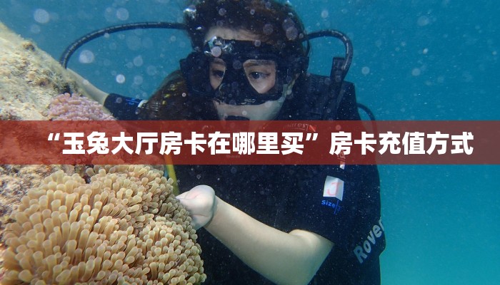 “玉兔大厅房卡在哪里买”房卡充值方式