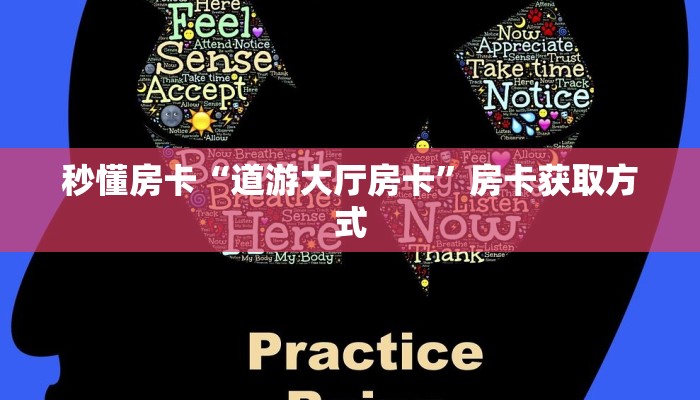 秒懂房卡“道游大厅房卡”房卡获取方式